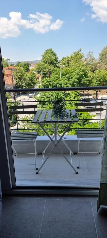 דירות וולוס Palaia Premium Flat מראה חיצוני תמונה